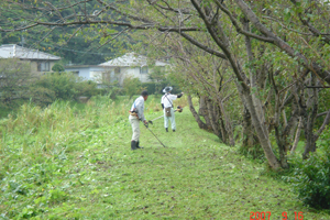 まちづくり実行隊のメンバーとして活動