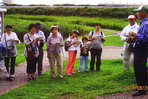 夏休み自然観察会