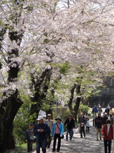 富士市百歩の会